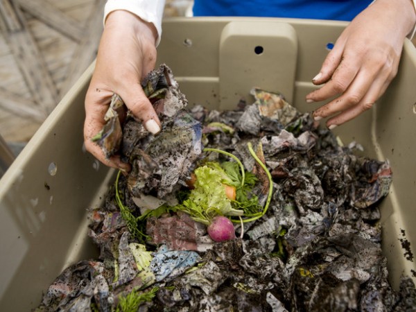 compost bin with food scraps