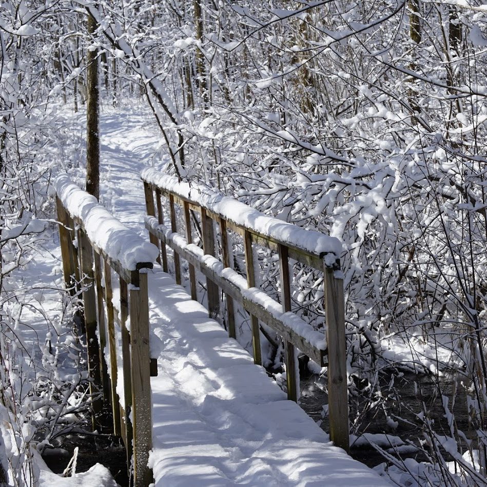 scenic winter view of a snow-covered bridge path over a creek on a Riveredge trail in the woods