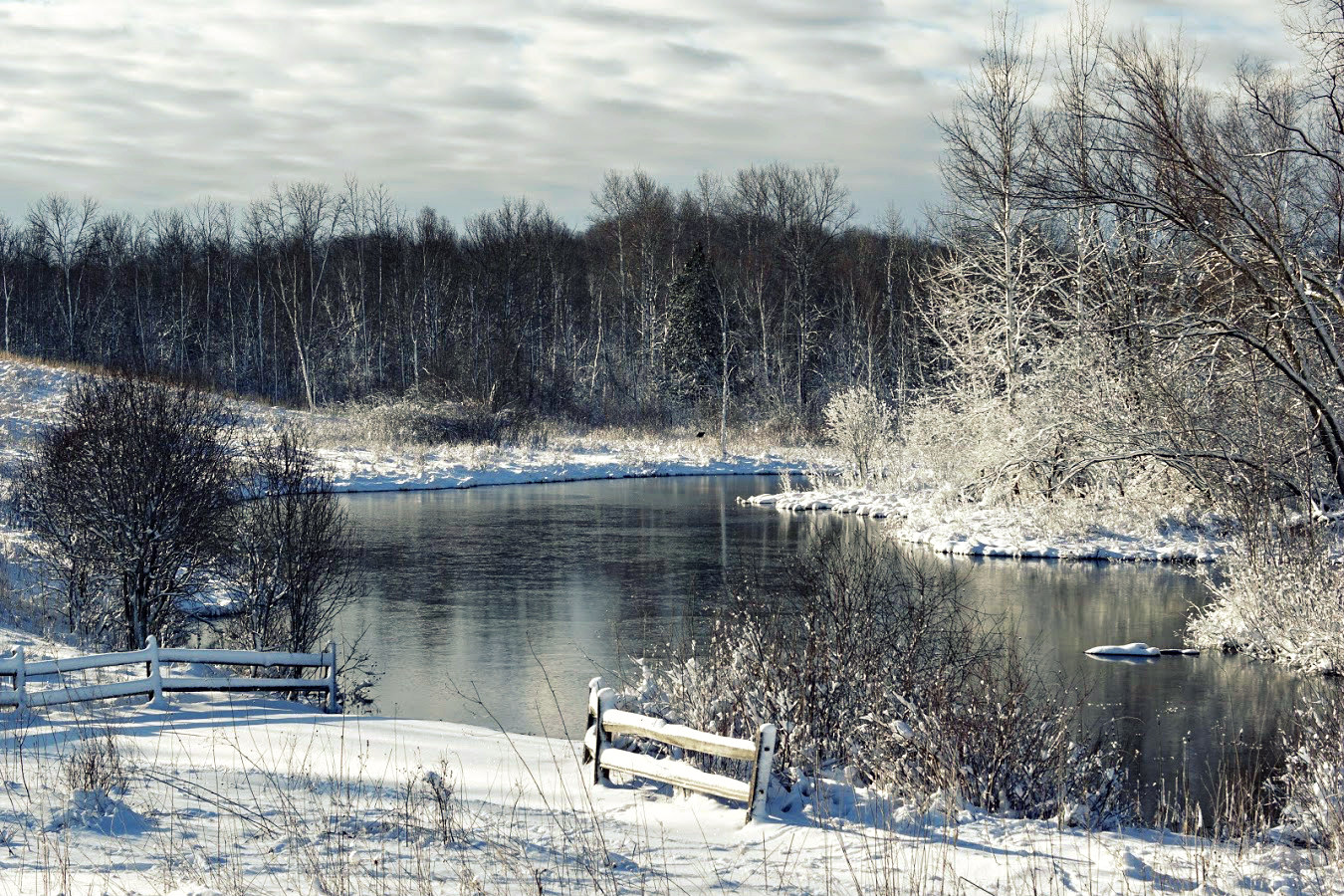 scenic winter view of no no pond at Riveredge with snow covering the ground and the trees