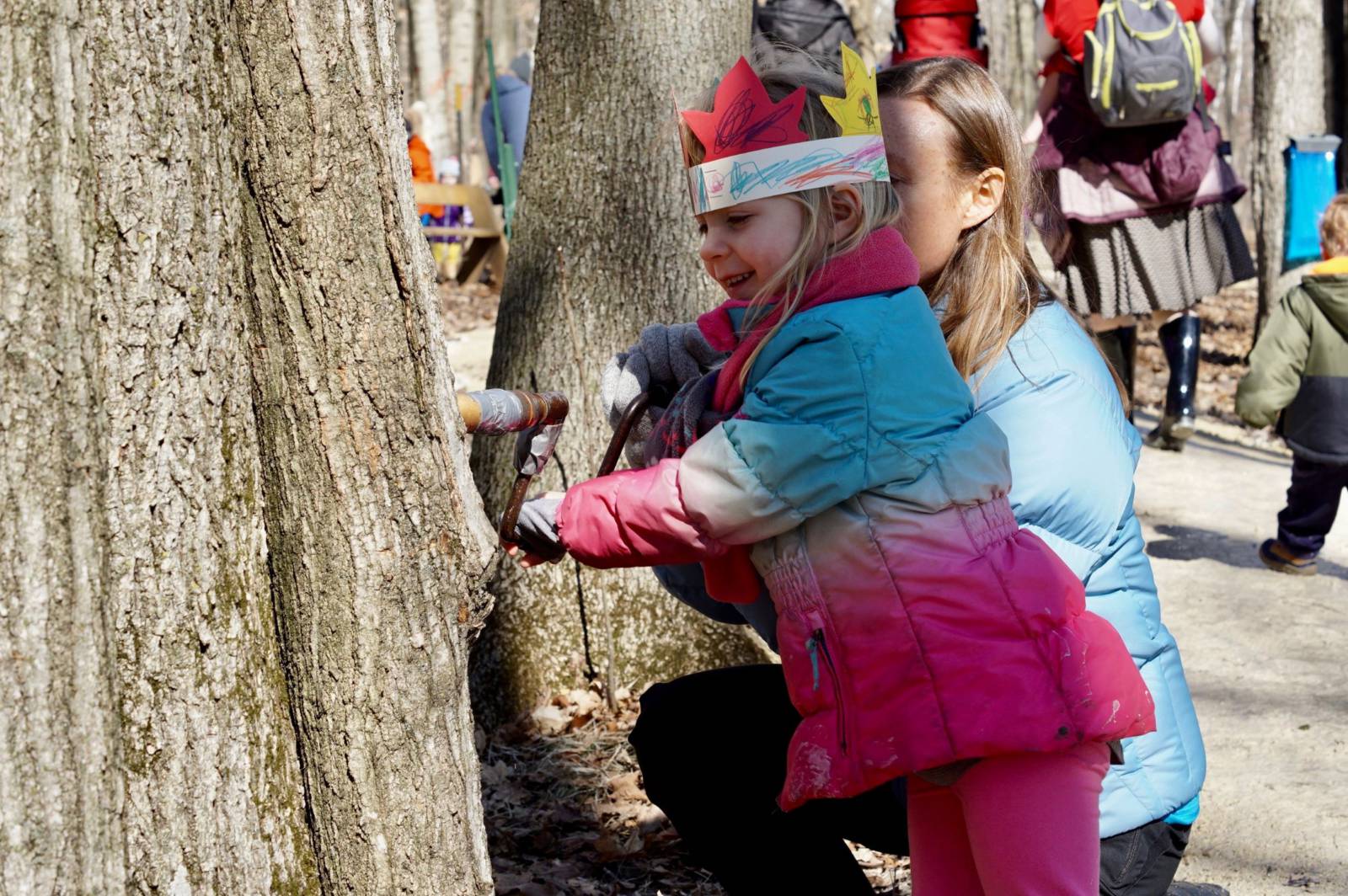 a young child learning to tap a maple tree