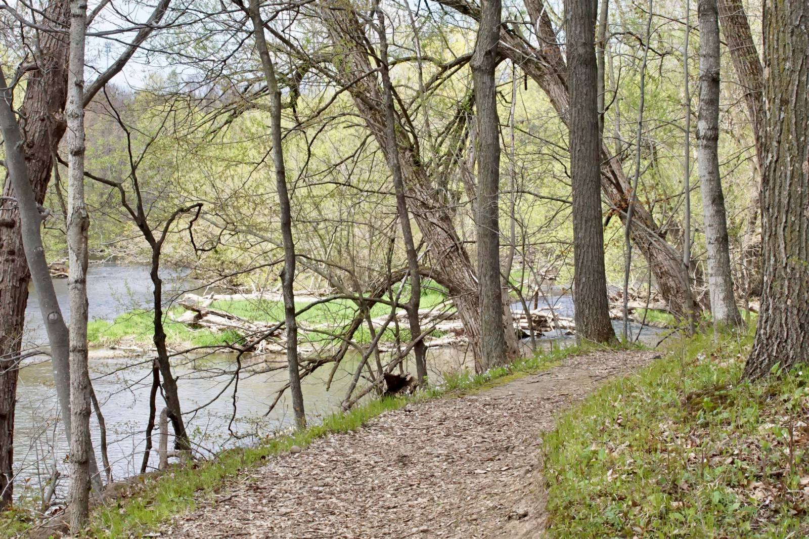 Trail overlooking the Milwaukee River at Riveredge Nature Center