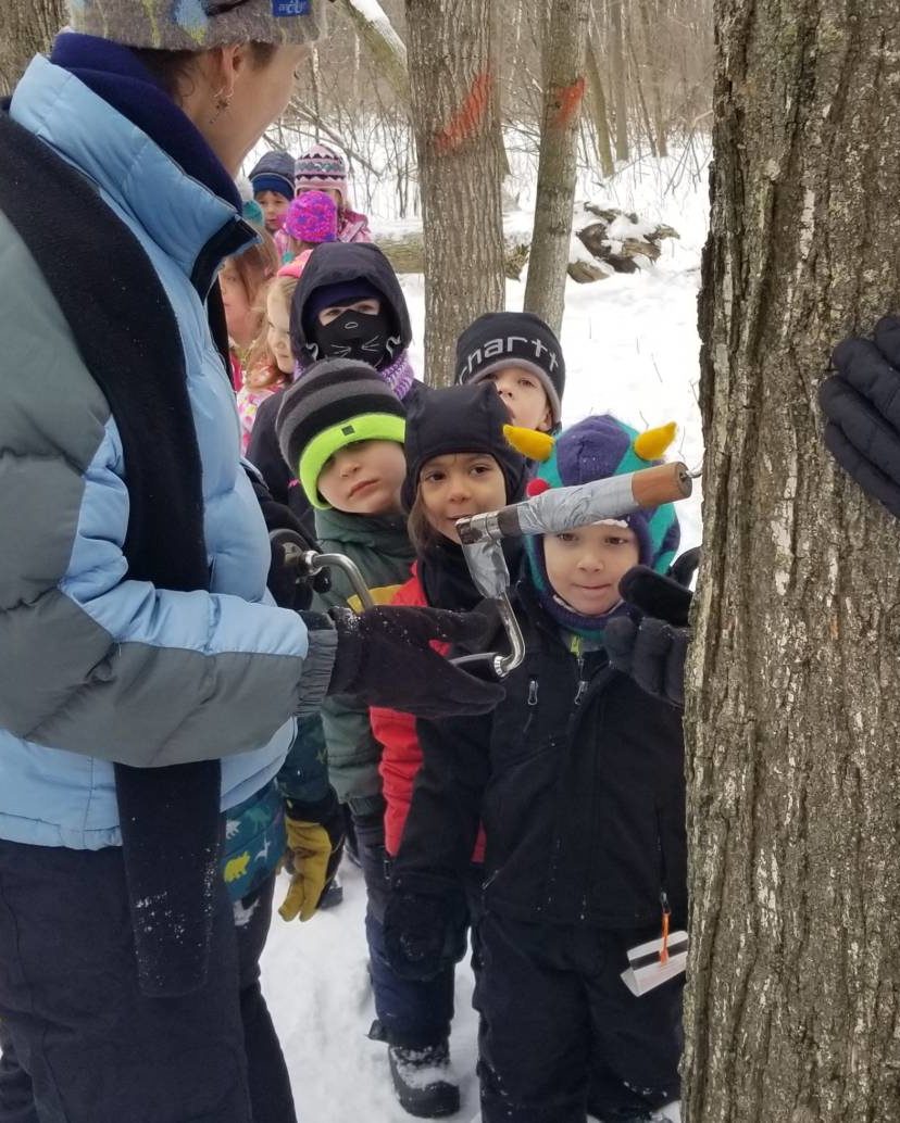 a small group of young kids stand in line behind a maple tree being tapped by a Riveredge educator
