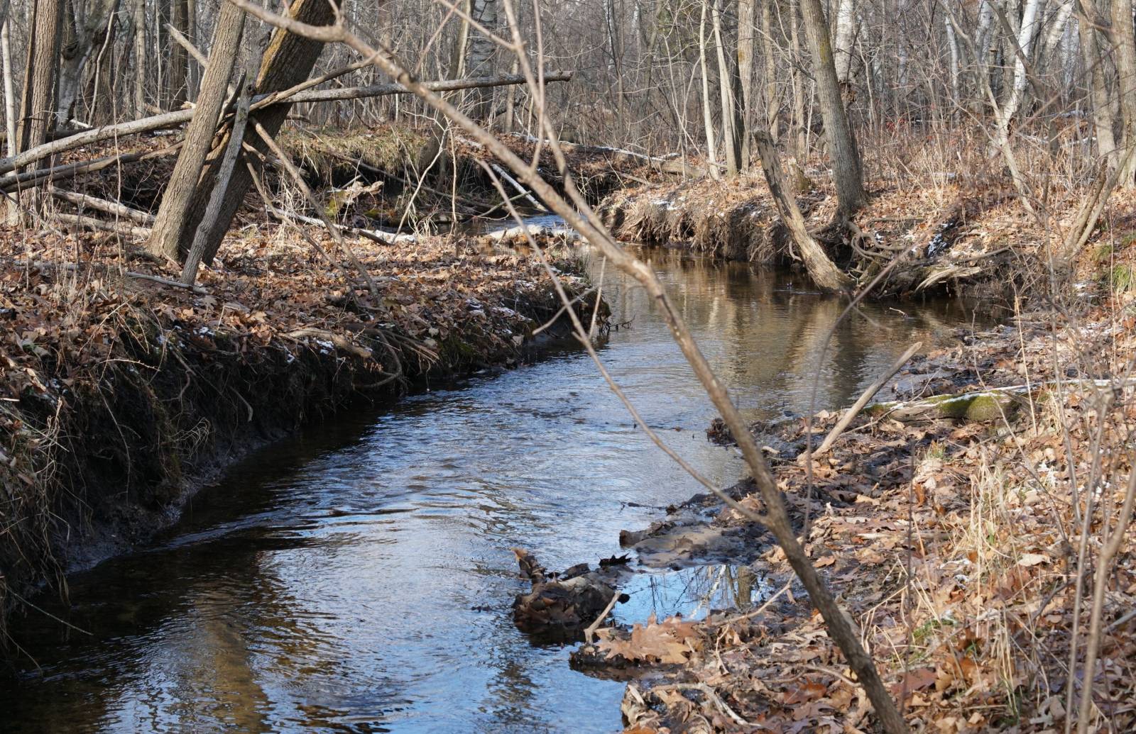 creek in early spring with trees and grasses on both sides