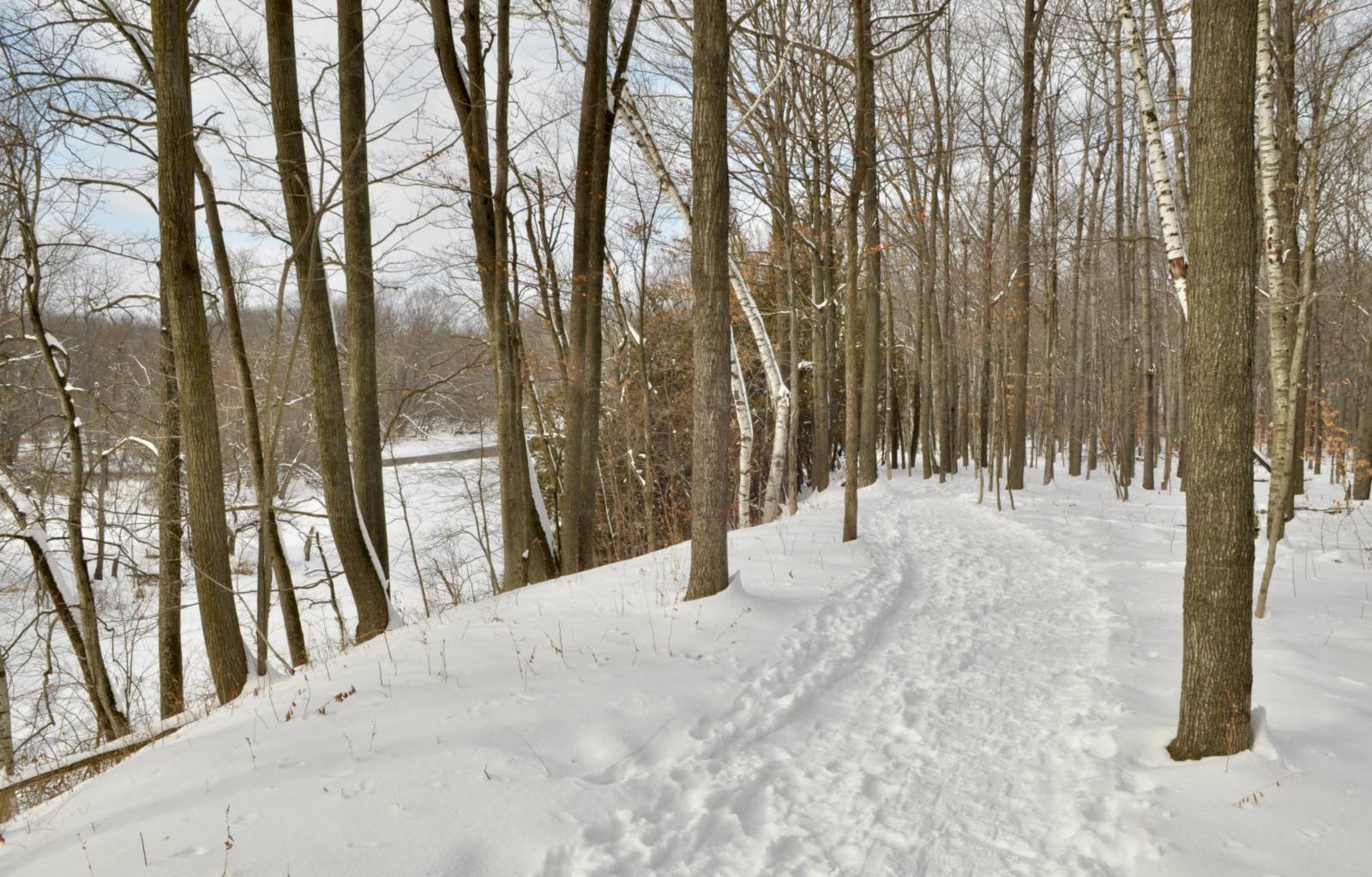 a snow covered trail in the forest