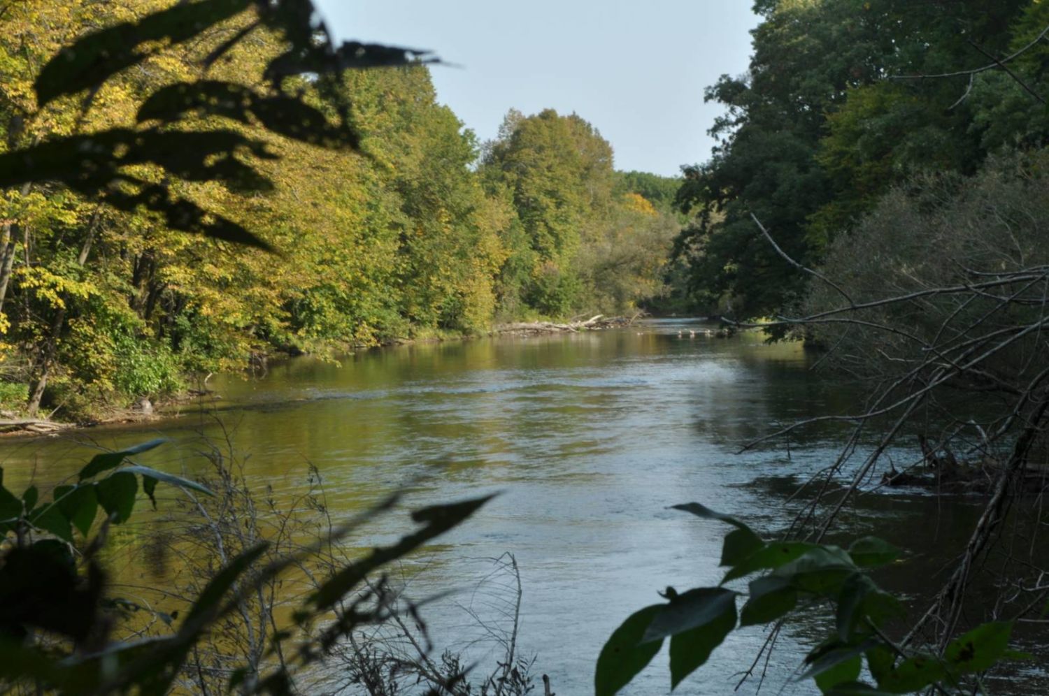 scenic view of the Milwaukee River in summer through a patch of leaves