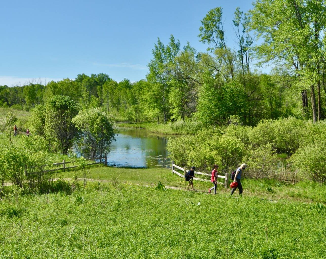 landscape view of Farm Pond at Riveredge in spring