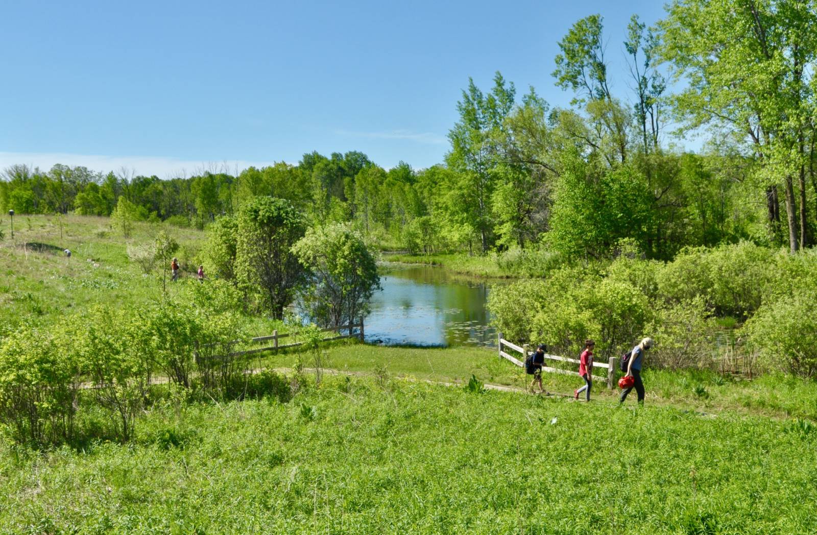 landscape view of Farm Pond at Riveredge in spring