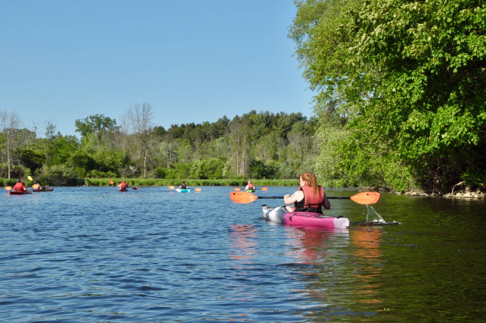 a group of people kayking the Milwaukee River on a sunny day with trees in the background