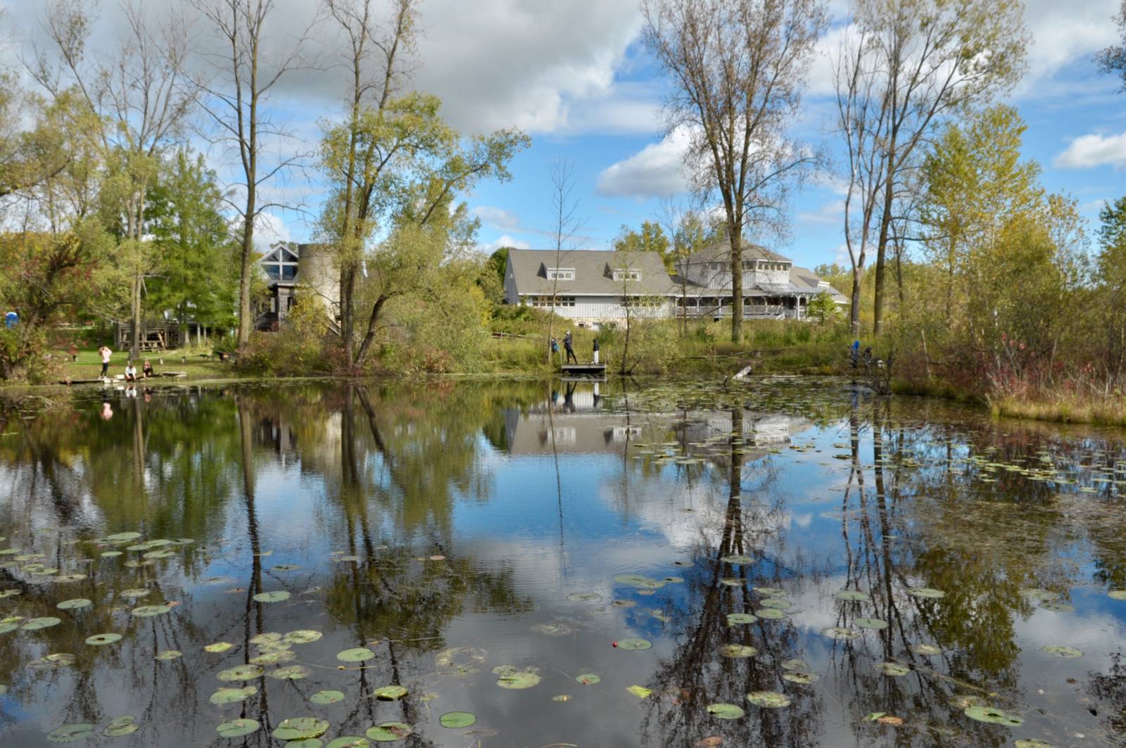 scenic view of farmer's pond at Riveredge with the sky reflecting off the water surface. The Riveredge Visitor Center is in the background with trees and plants.