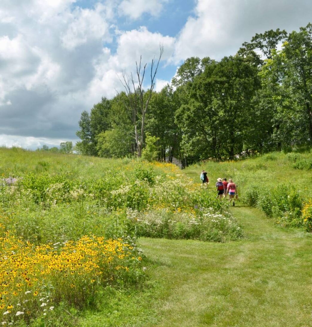 group of people from a distance hiking through the prairie in bloom