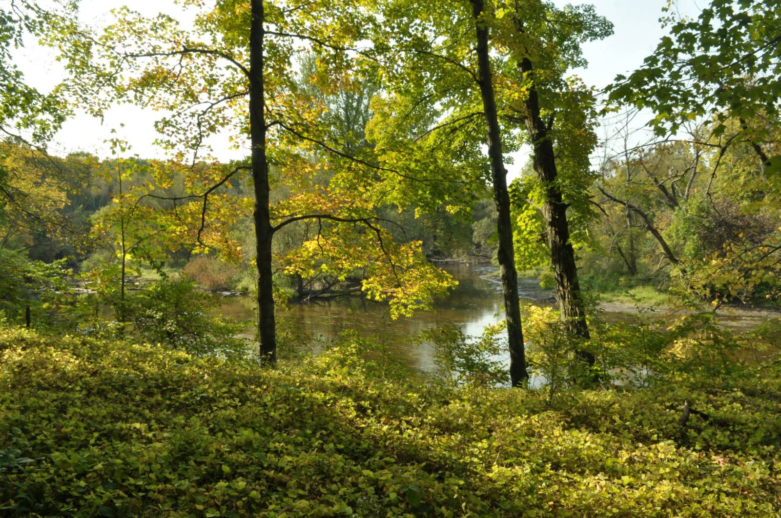 early autumn view from a trail along the Milwaukee River with trees changing color