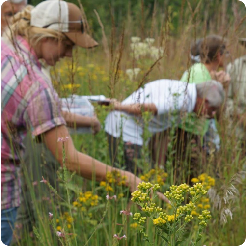 Volunteer – Riveredge Nature Center