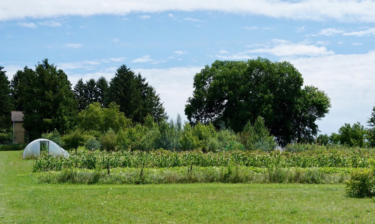 landscape view of the Riveredge farm with rows of crops growing