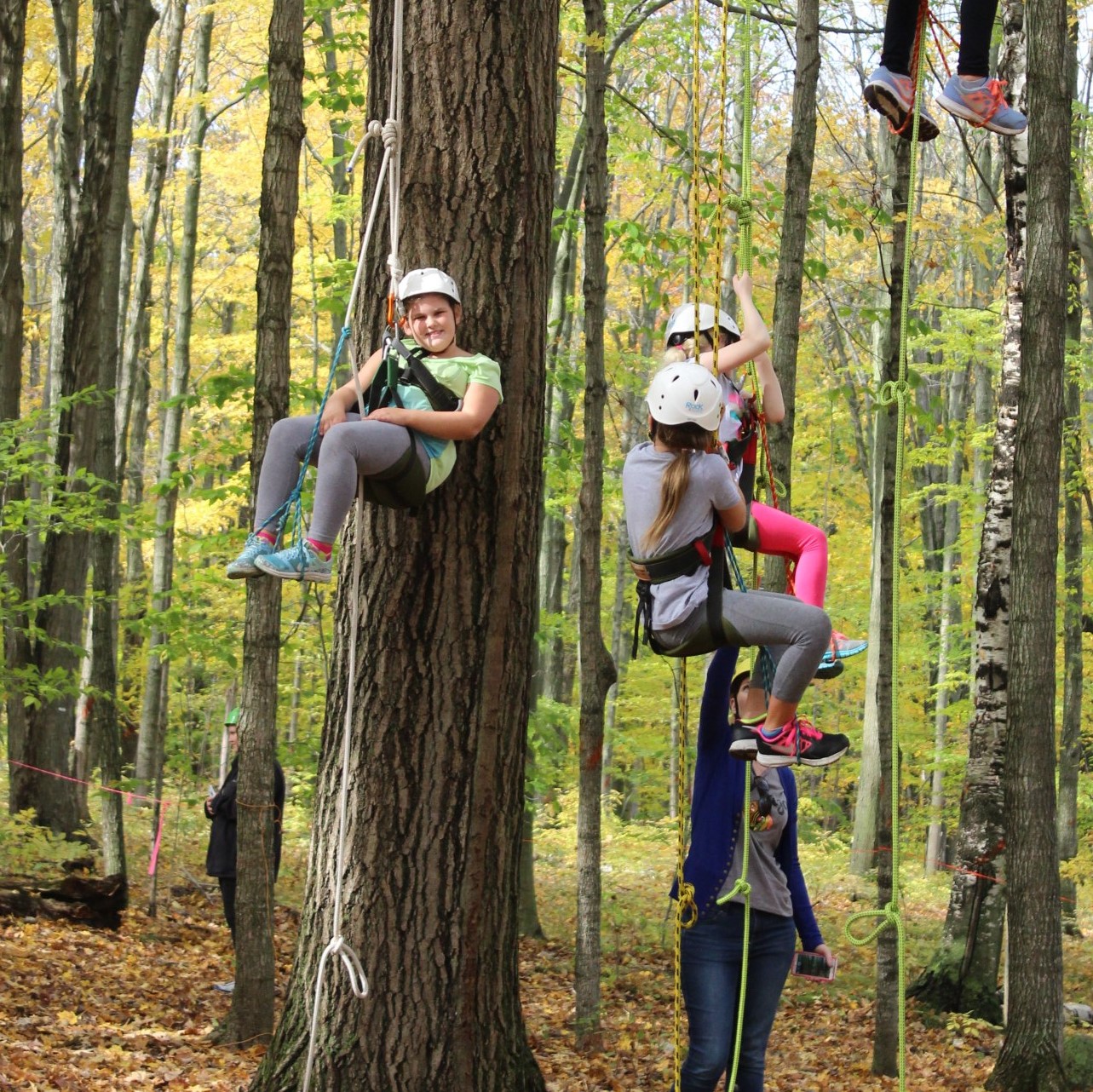 3 kids hang from ropes in a tree in the Riveredge forest