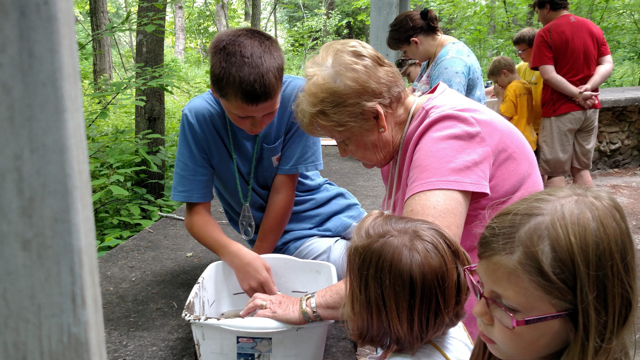 a grandmother with 3 grandchildren look at river critters in a bucket