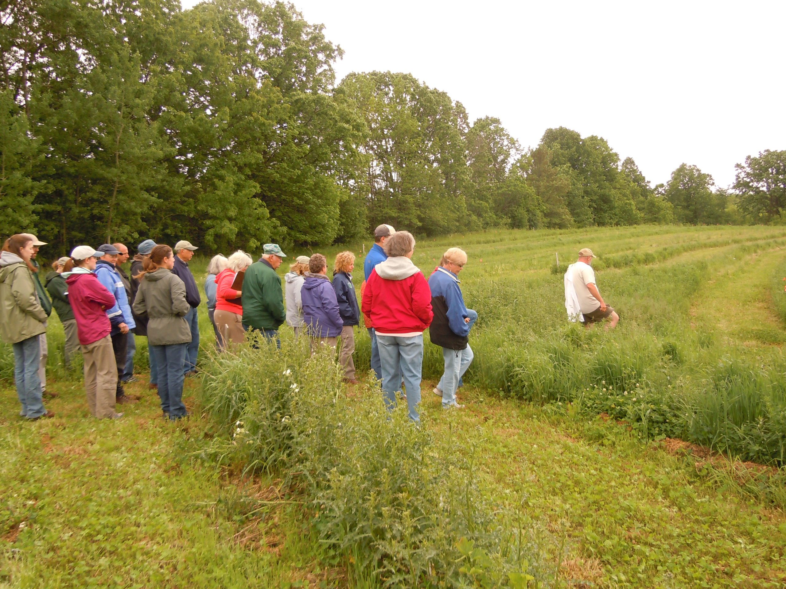 a group of mixed ages adults stands by the Riveredge farm for a wild edibles class