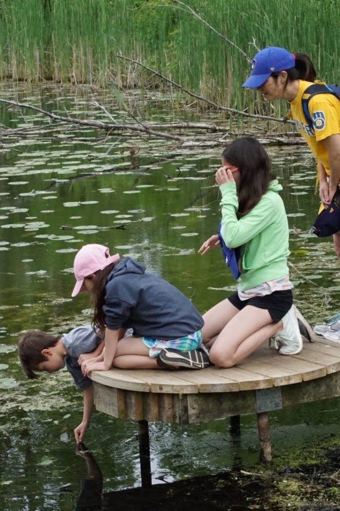 A family of 4 looks for frogs in Farm Pond from a small wooden dock