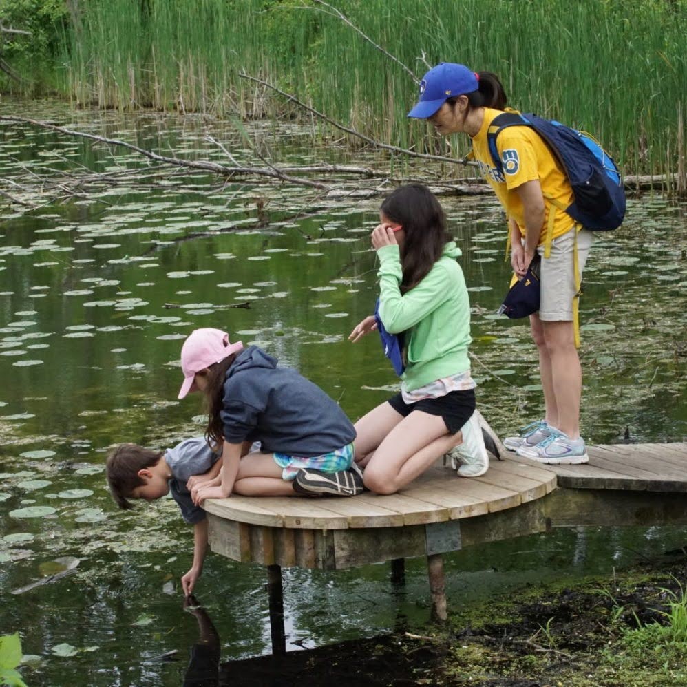 A family of 4 looks for frogs in Farm Pond from a small wooden dock