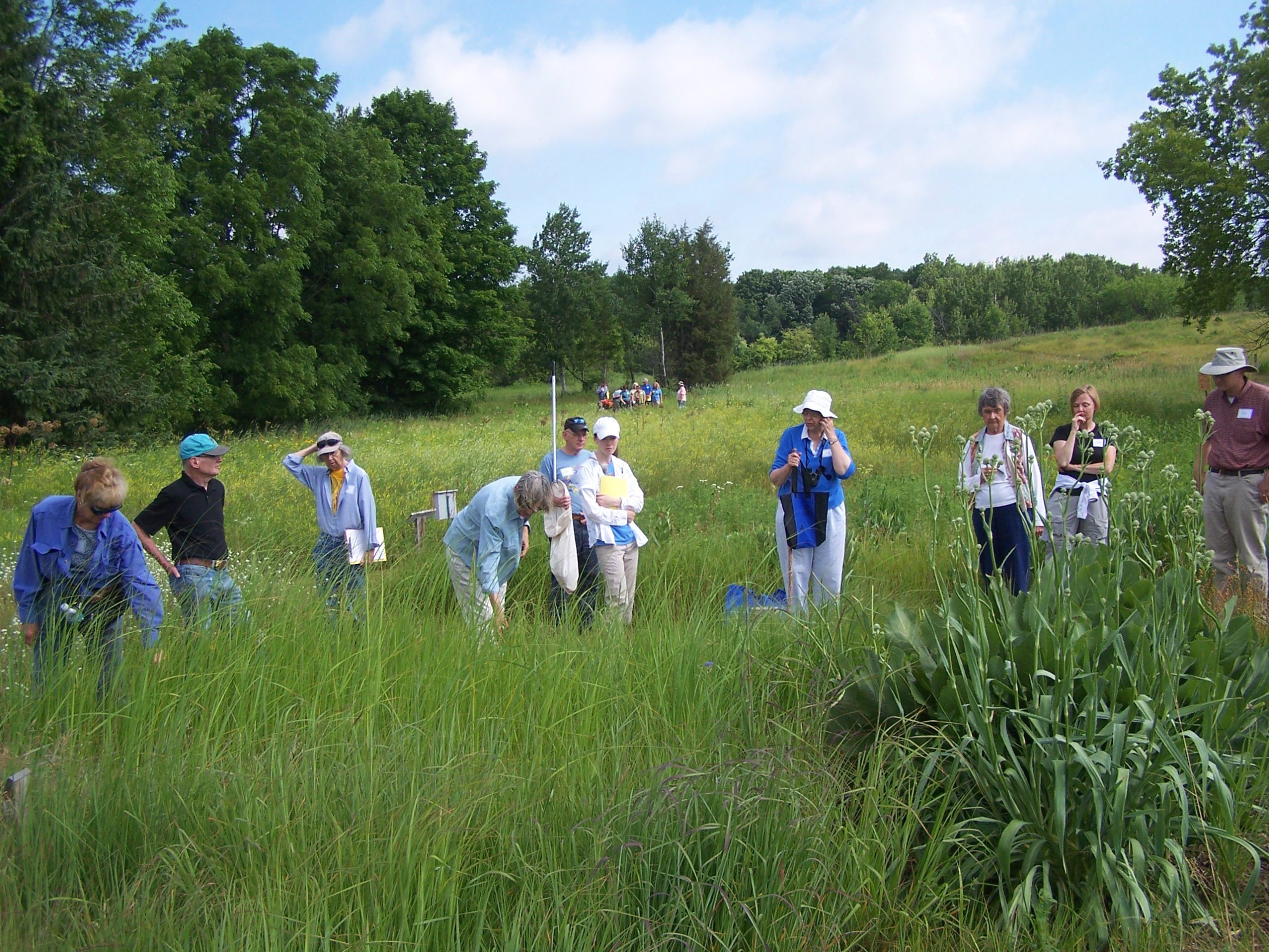 a small group of adults stands with nets on a trail in the prairie