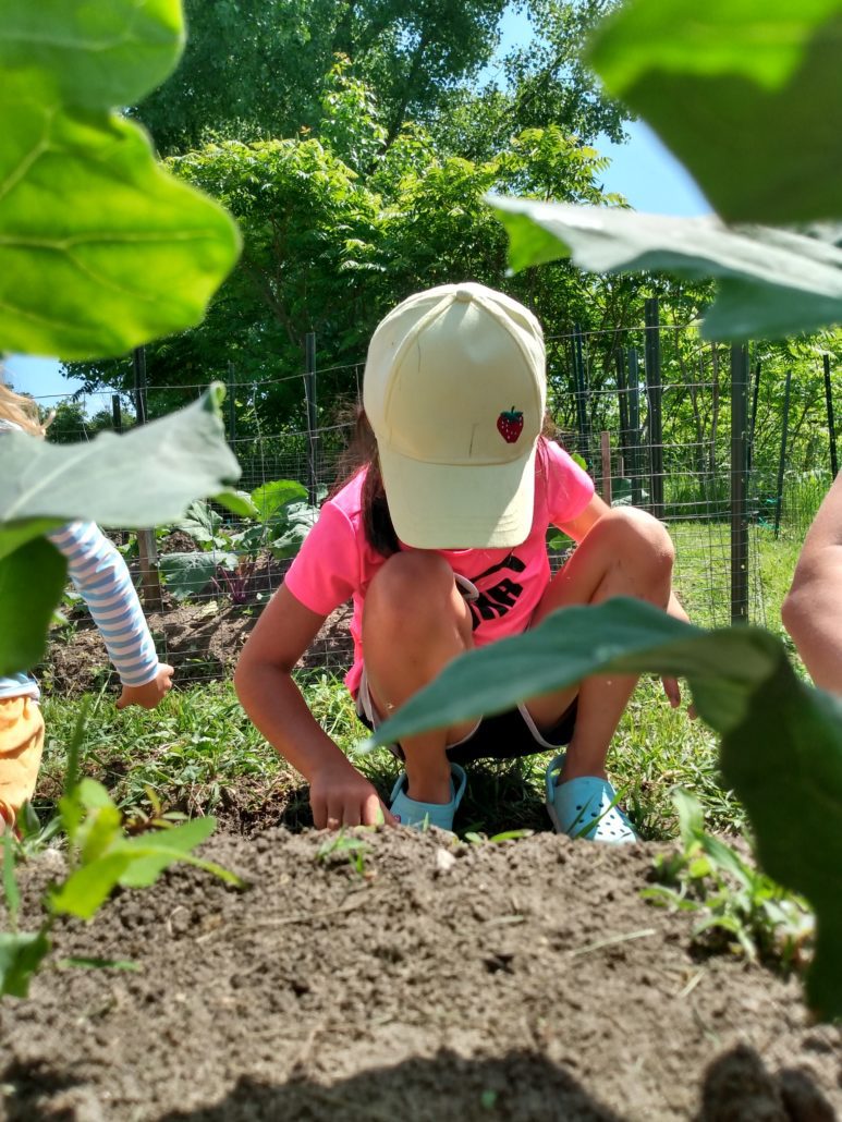 a young child wearing a baseball hat in a garden digging in the dirt