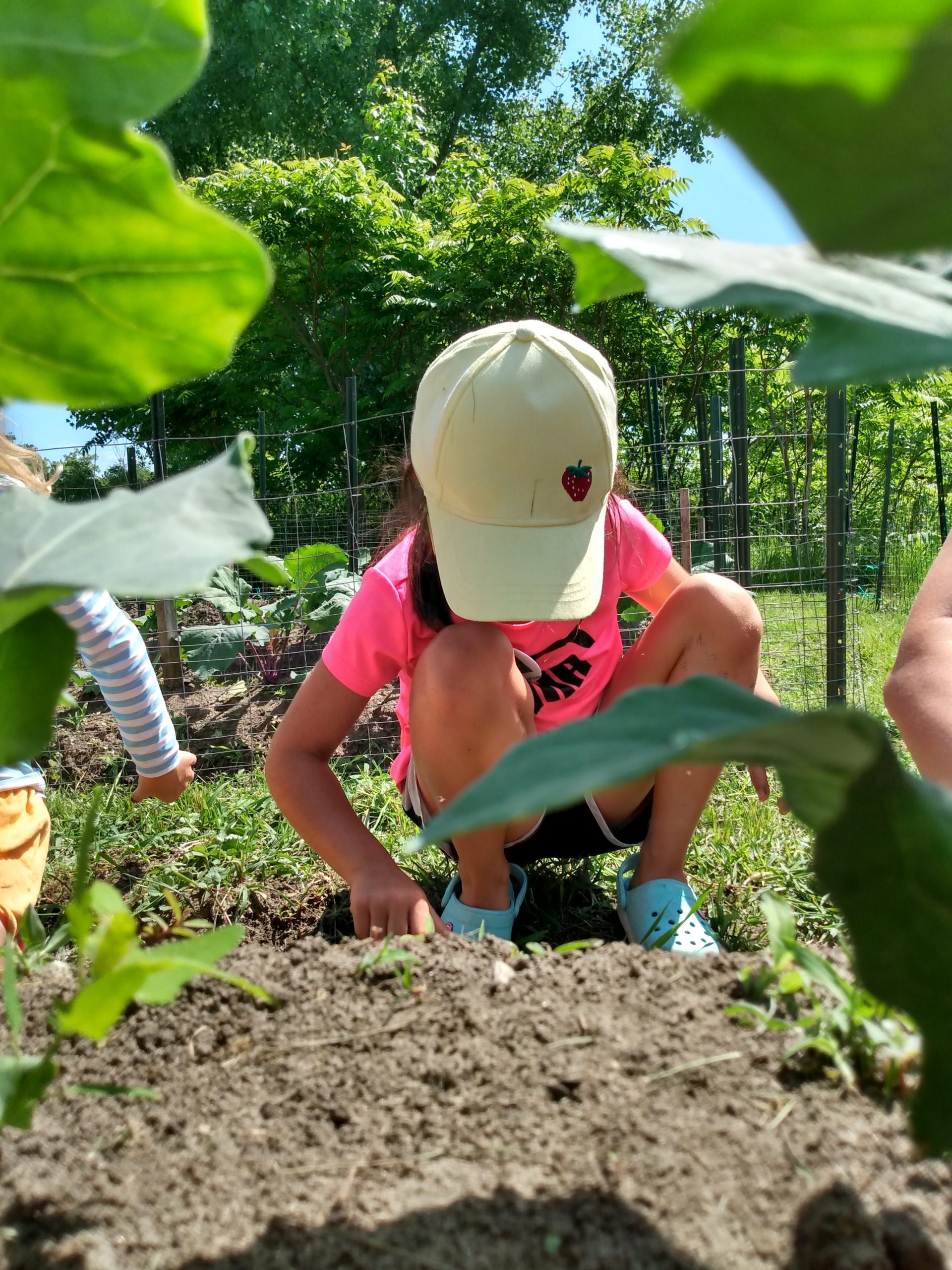 a young child wearing a baseball hat in a garden digging in the dirt