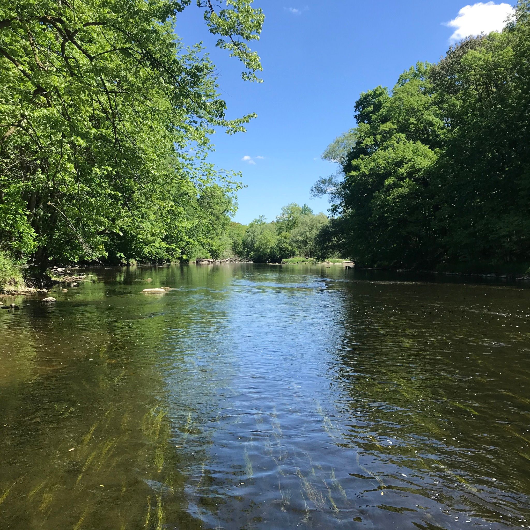the Milwaukee River on a bright sunny day with green trees on both sides