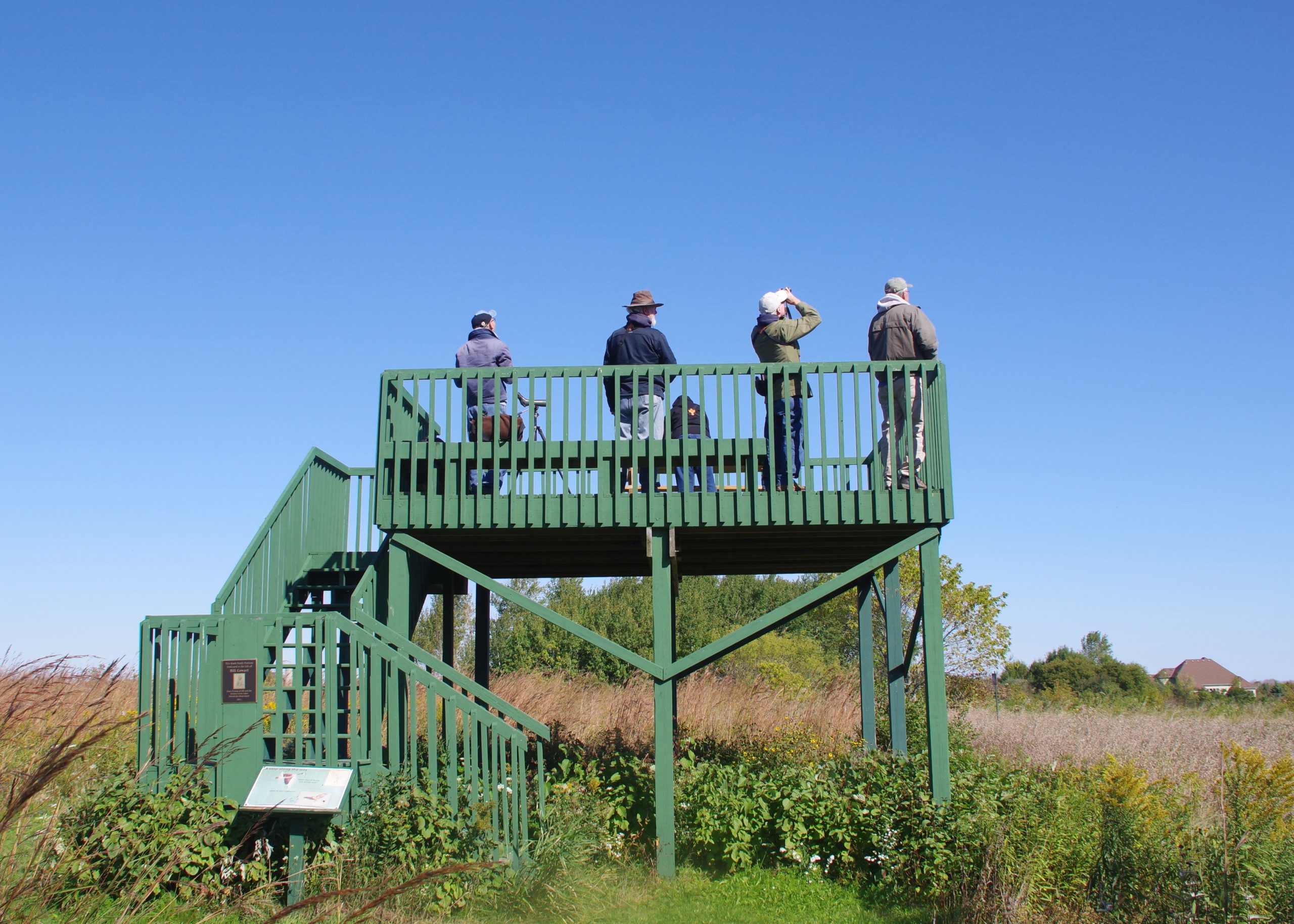 5 people stand on a small green wooden tower with binoculars searching for birds on a sunny day