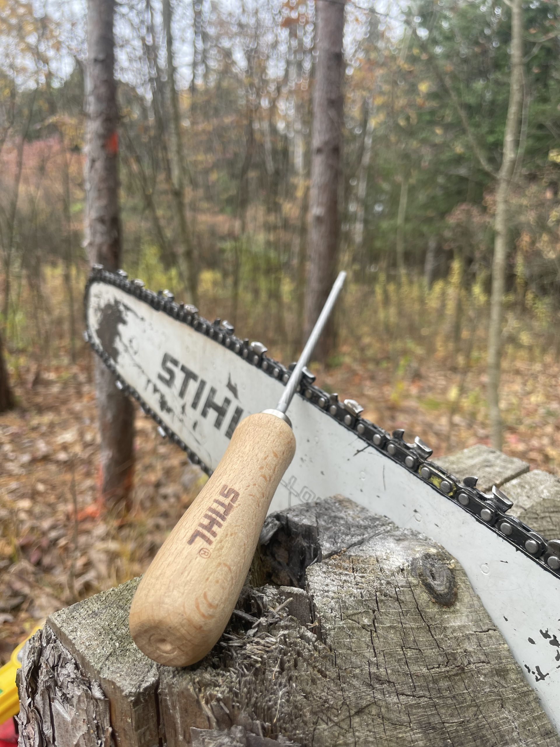 close up of a chainsaw sitting on a stump in the woods with a tool resting on the blade