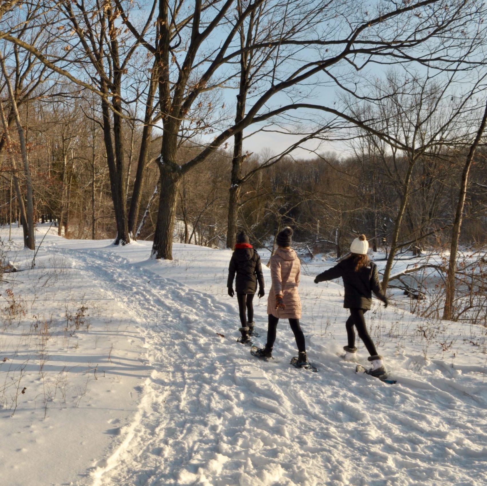 scenic view of 3 people in winter gear snowshoeing on a snow-covered path through the woods at Riveredge