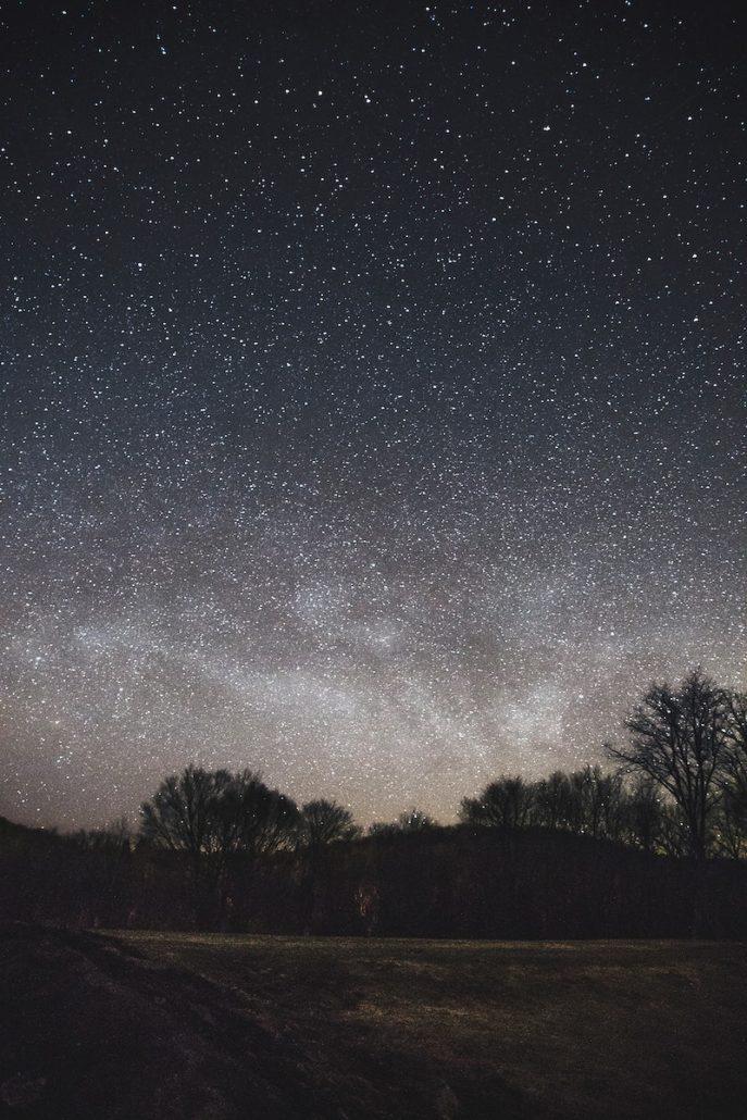 stars lighting up the night sky above bare trees