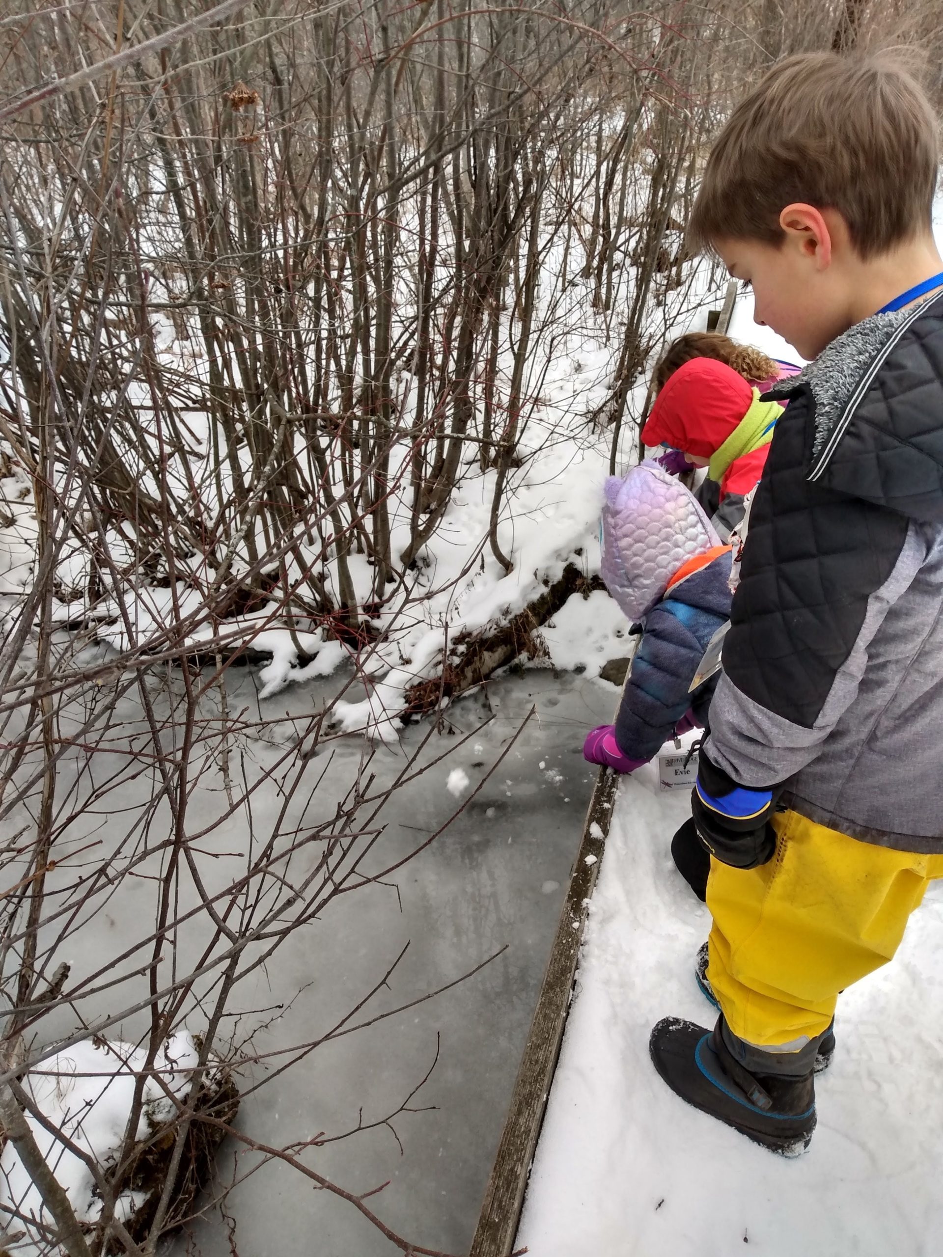3 young kids stand on a small wooden snow-covered bridge looking down at a frozen creek