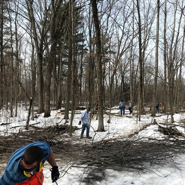 a group of volunteers clearing brush out of the Riverdge forest in the winter
