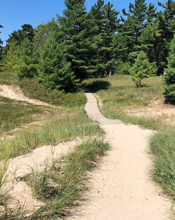 scenic sand dunes at Kohler Andre State Park in Wisconsin with beach grass growing next to sandy paths and pine trees in the background