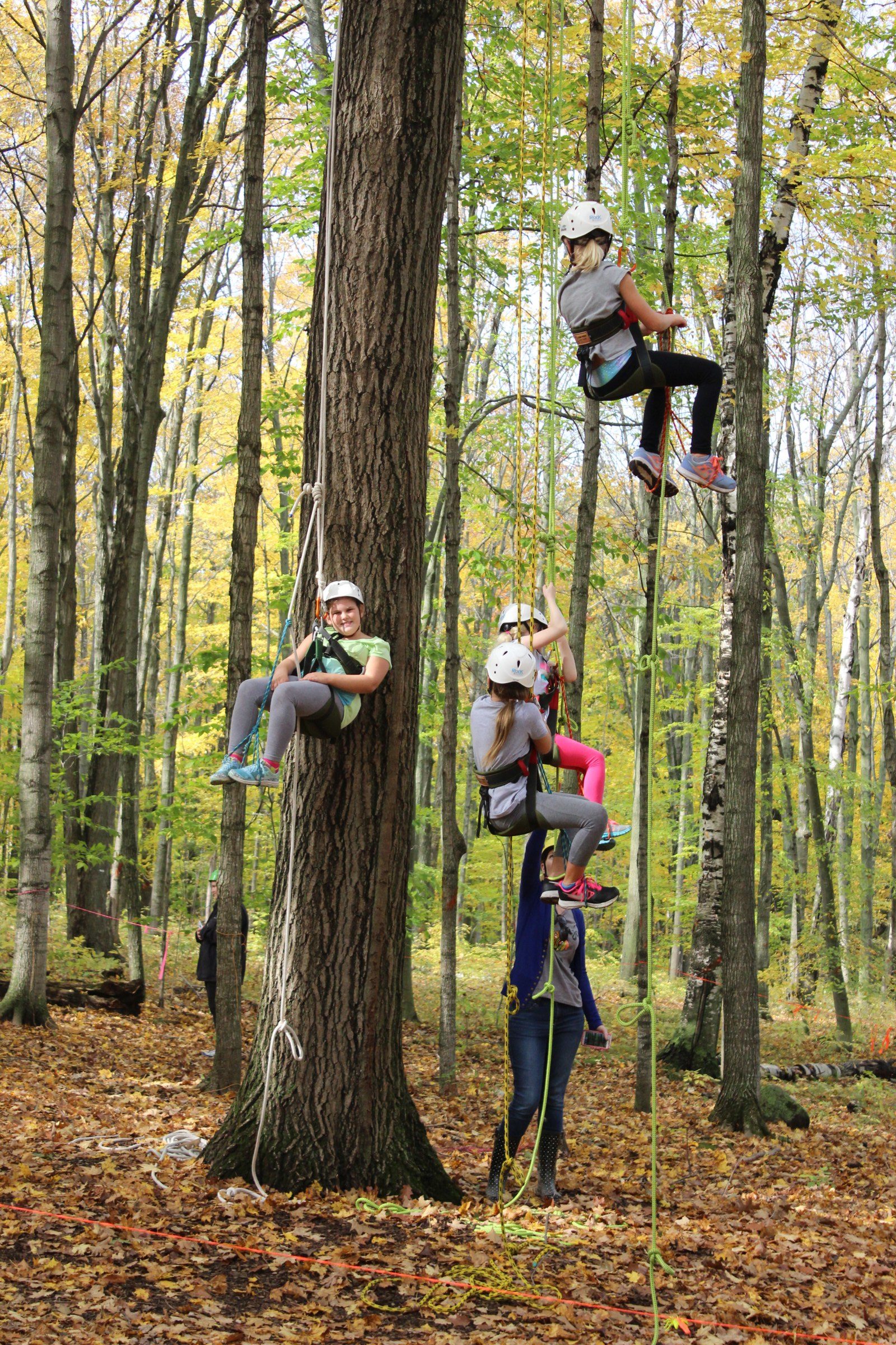 4 kids hang from ropes in a tree in the Riveredge forest