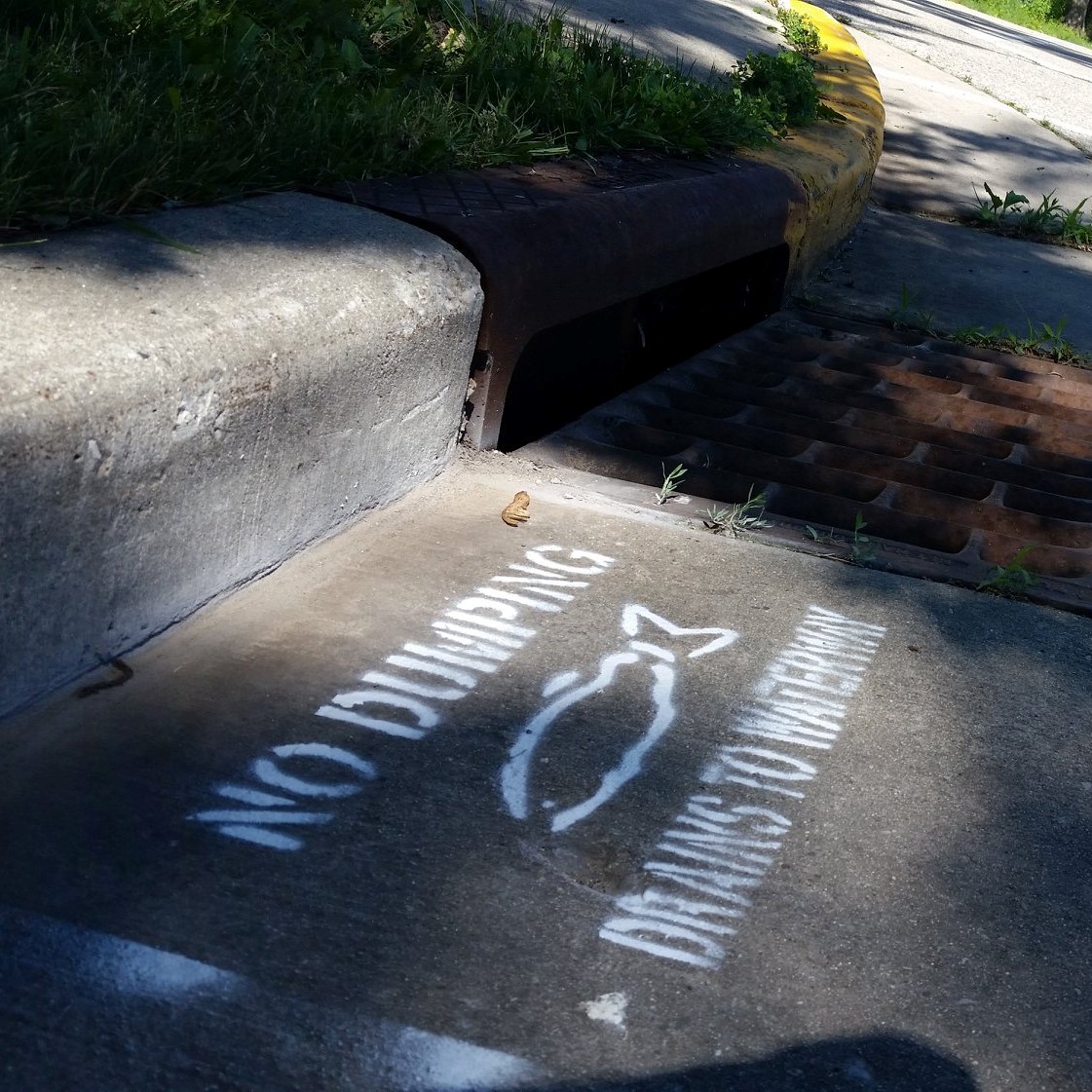 a painted notice on the road next to a storm drain that reads "no dumping drains to waterway"