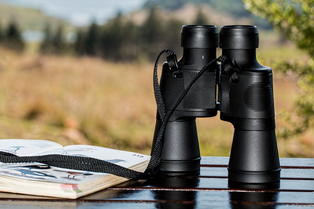 binoculars sit on a bench with a bird guide book. A prairie and trees are in the background