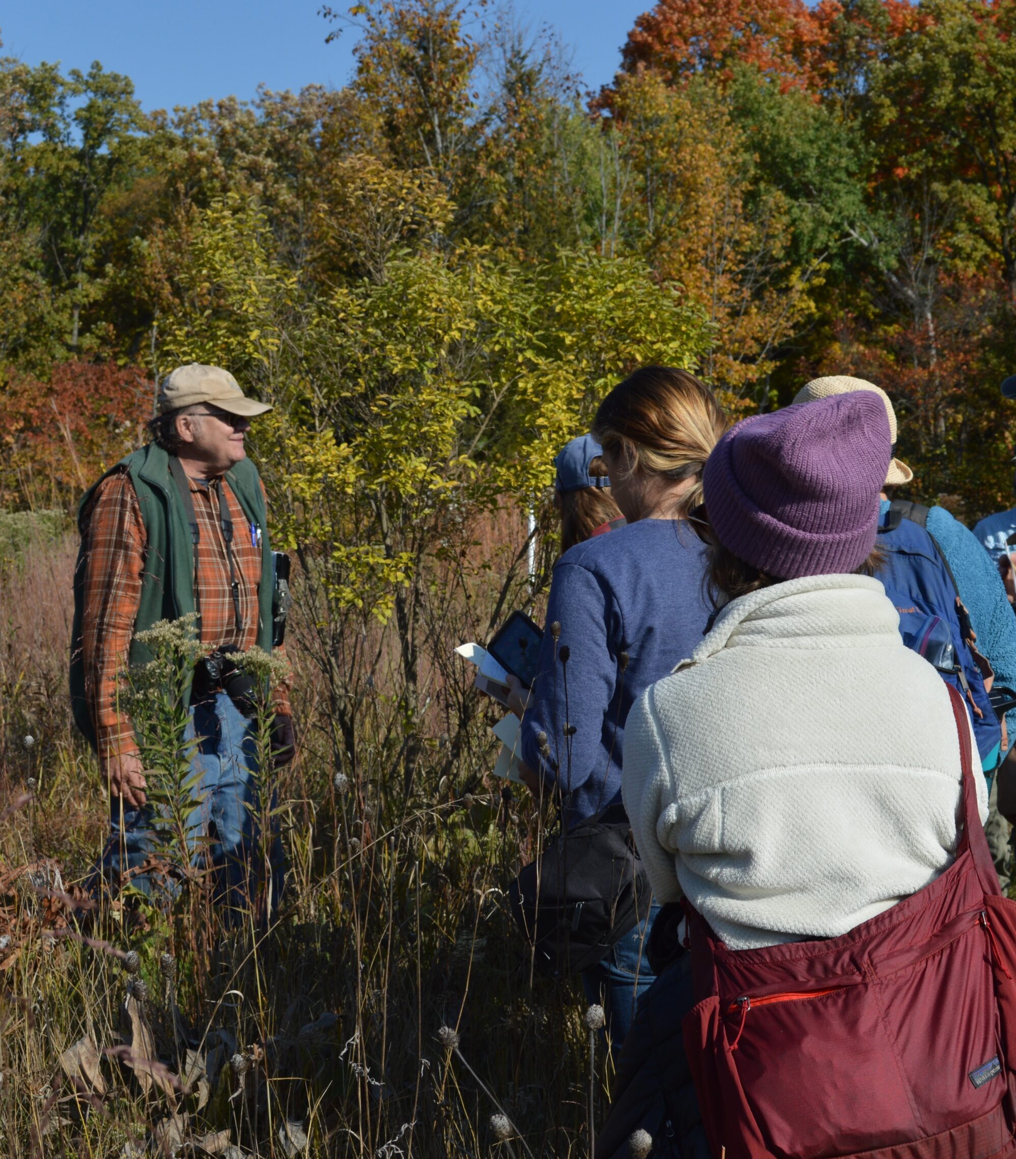 a small group of people listen to a speaker showing them plants in a prairie