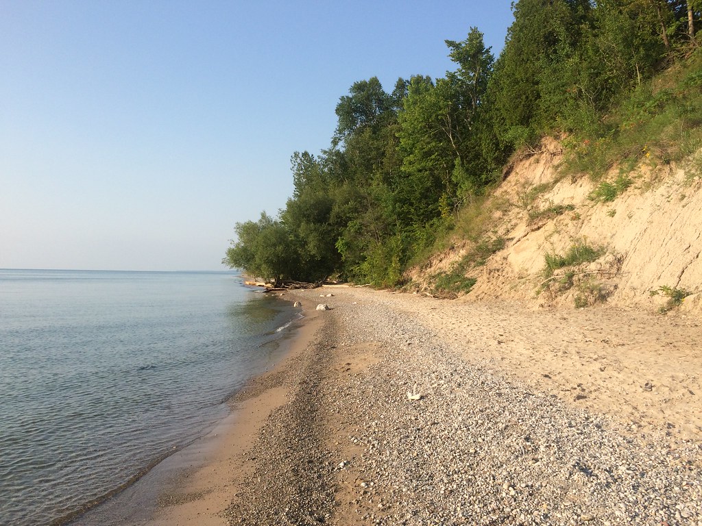 scenic view of a beach shoreline at Lion's Den Gorge Nature Preserve with green trees in the background