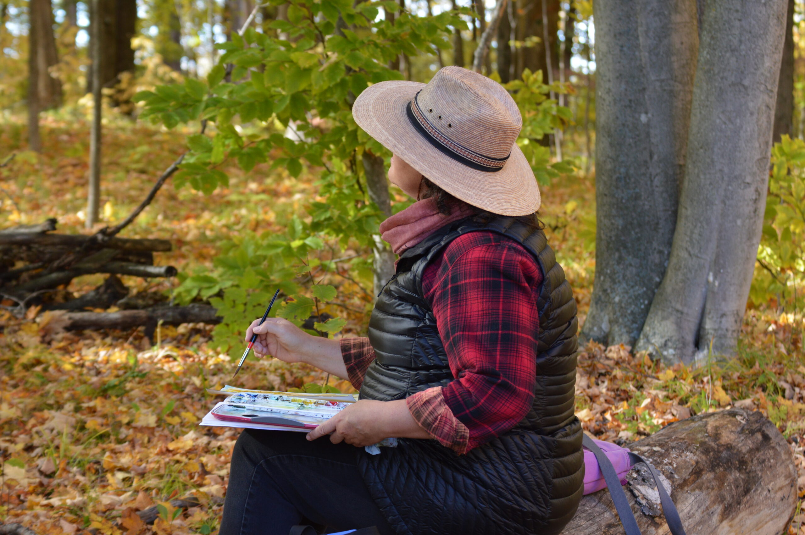 an adult sits on a log in the autumn woods at Riveredge painting a landscape on paper