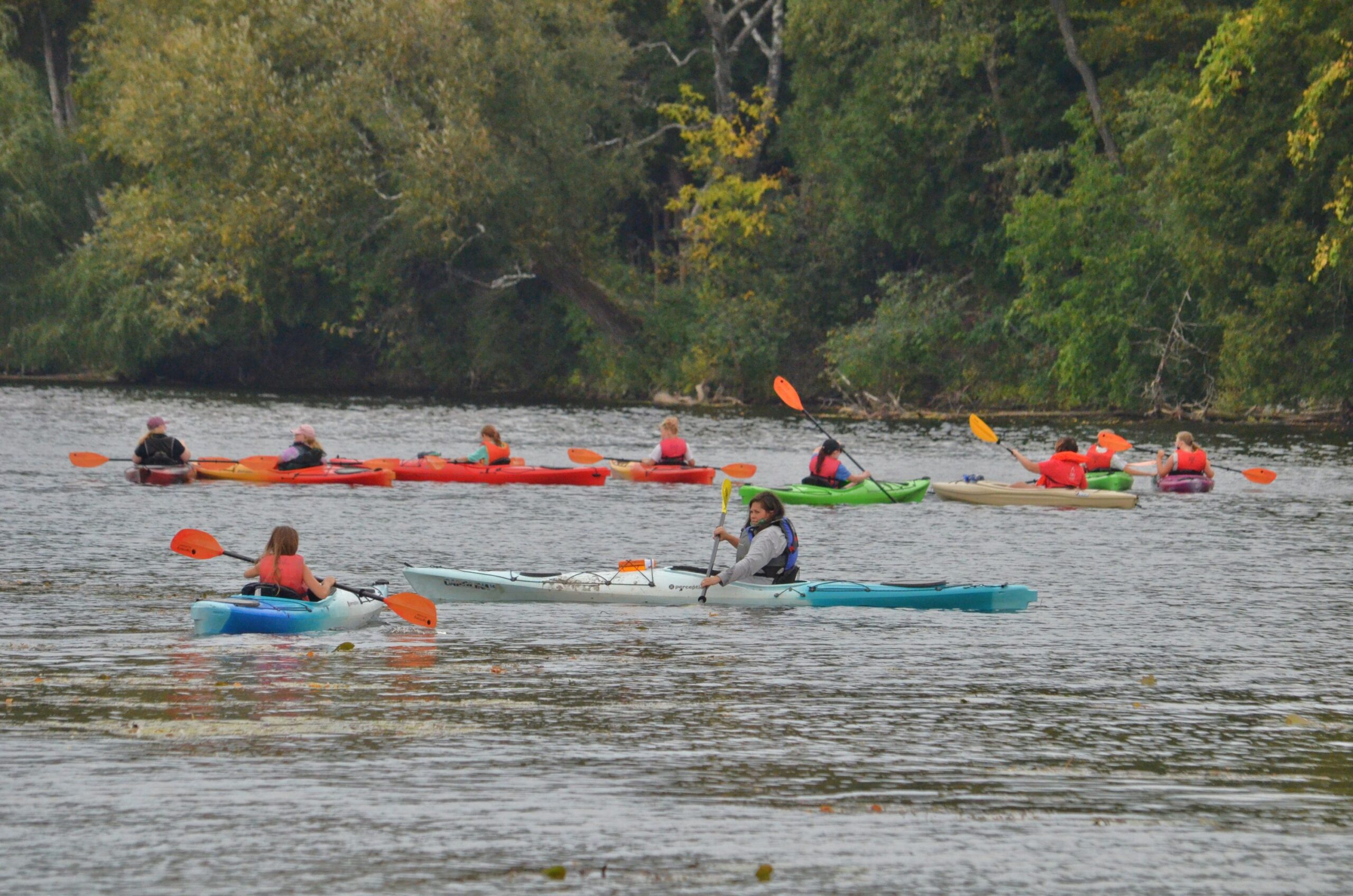 a group of kids paddling on kayaks with a forest in the background