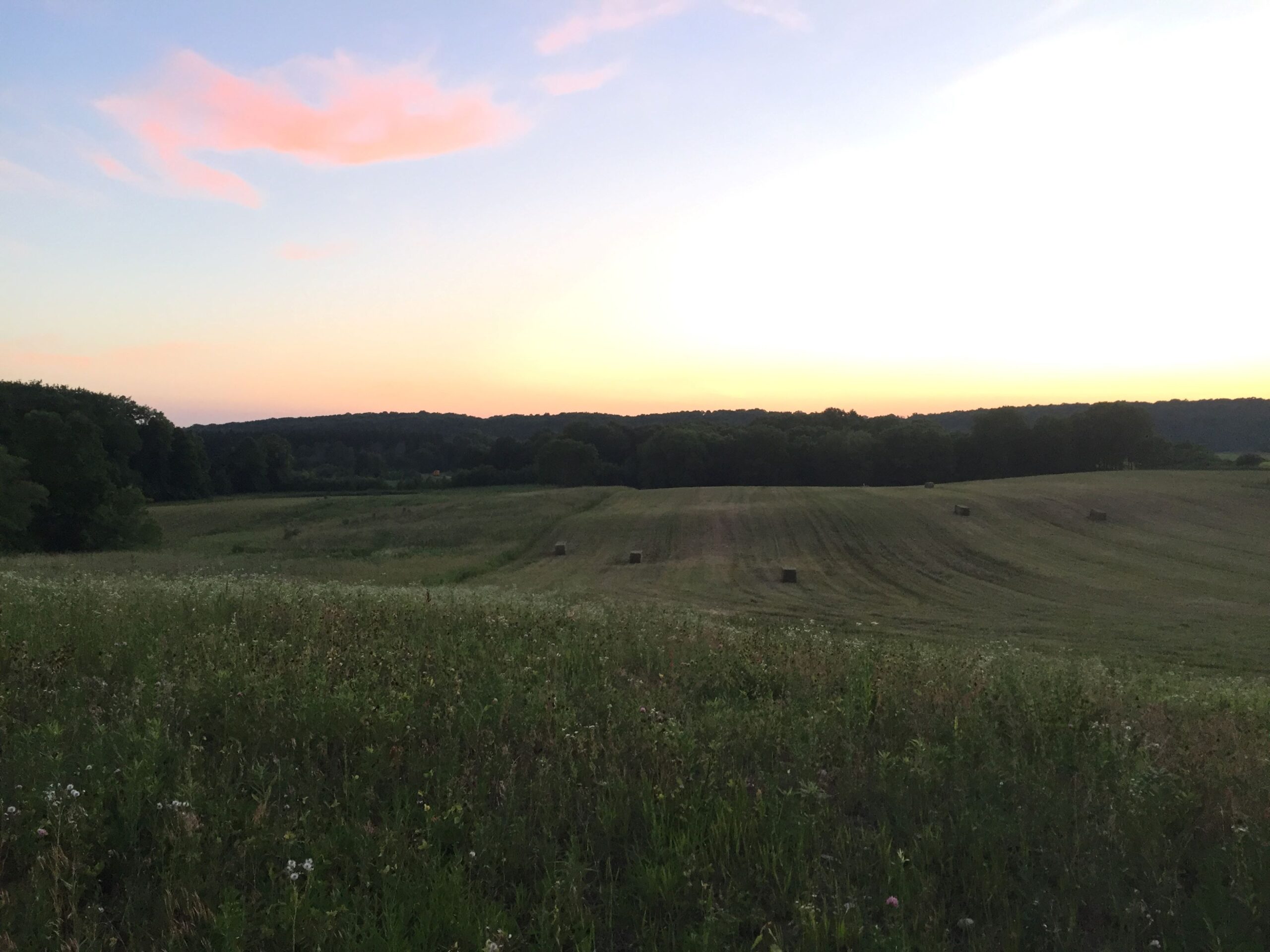 scenic view of a crop field with hay bails at Grounded LLC farm at sunset