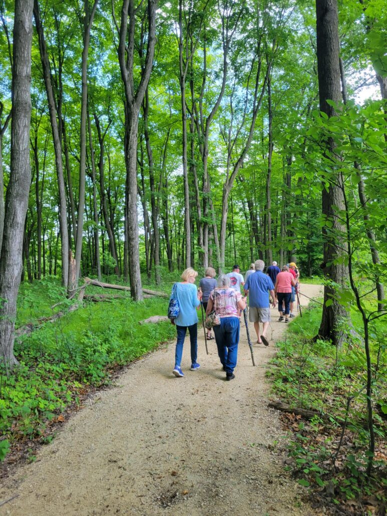 a small group of older adults using walking sticks on a gravel path in the woods at Riveredge on a summer day