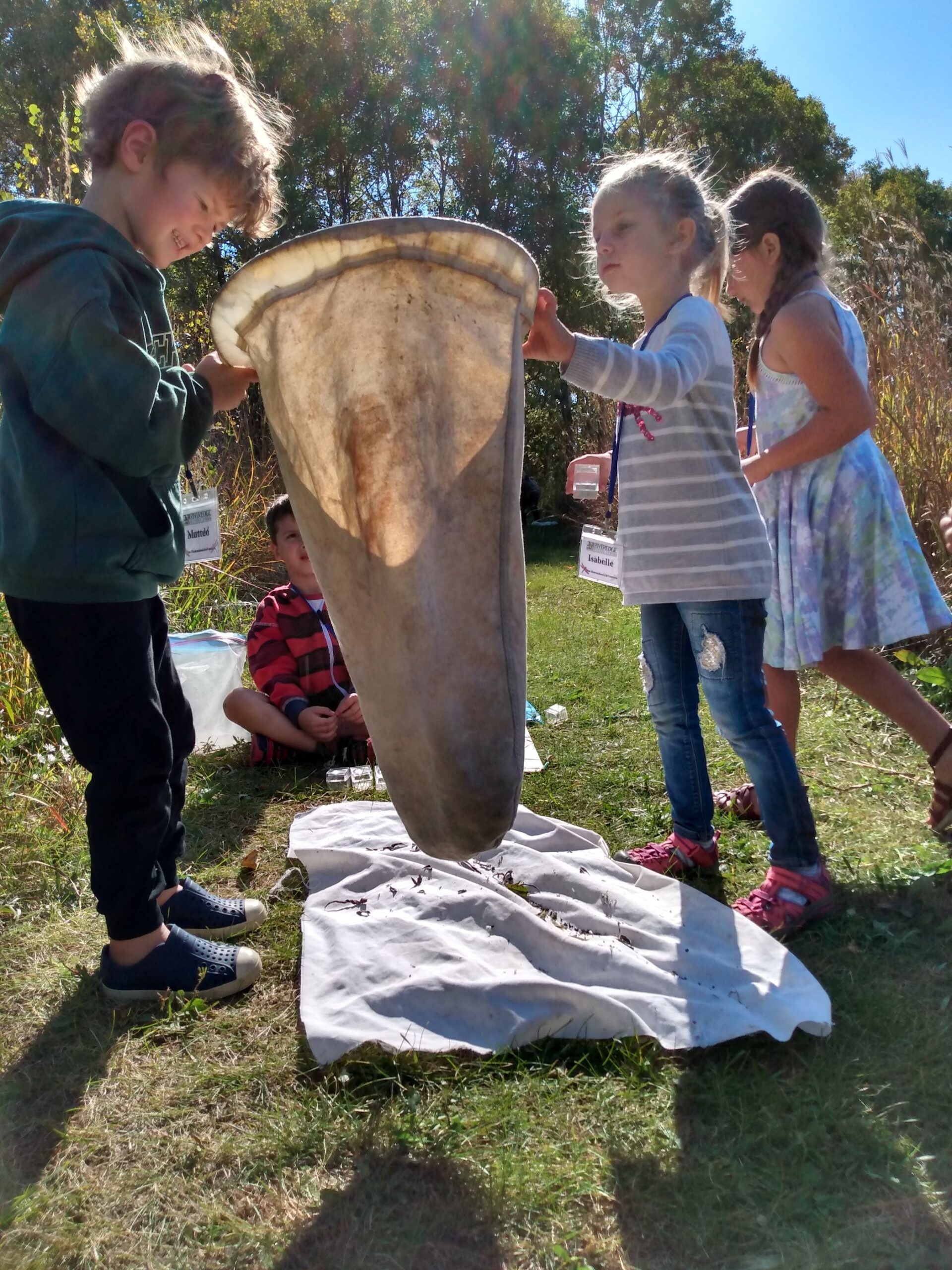 2 young kids peer into a bug sweeping net looking for insects on a sunny day