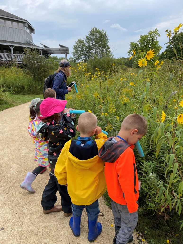 6 young kids look at fall prairie flowers at Riveredge from a trail guided by an educator