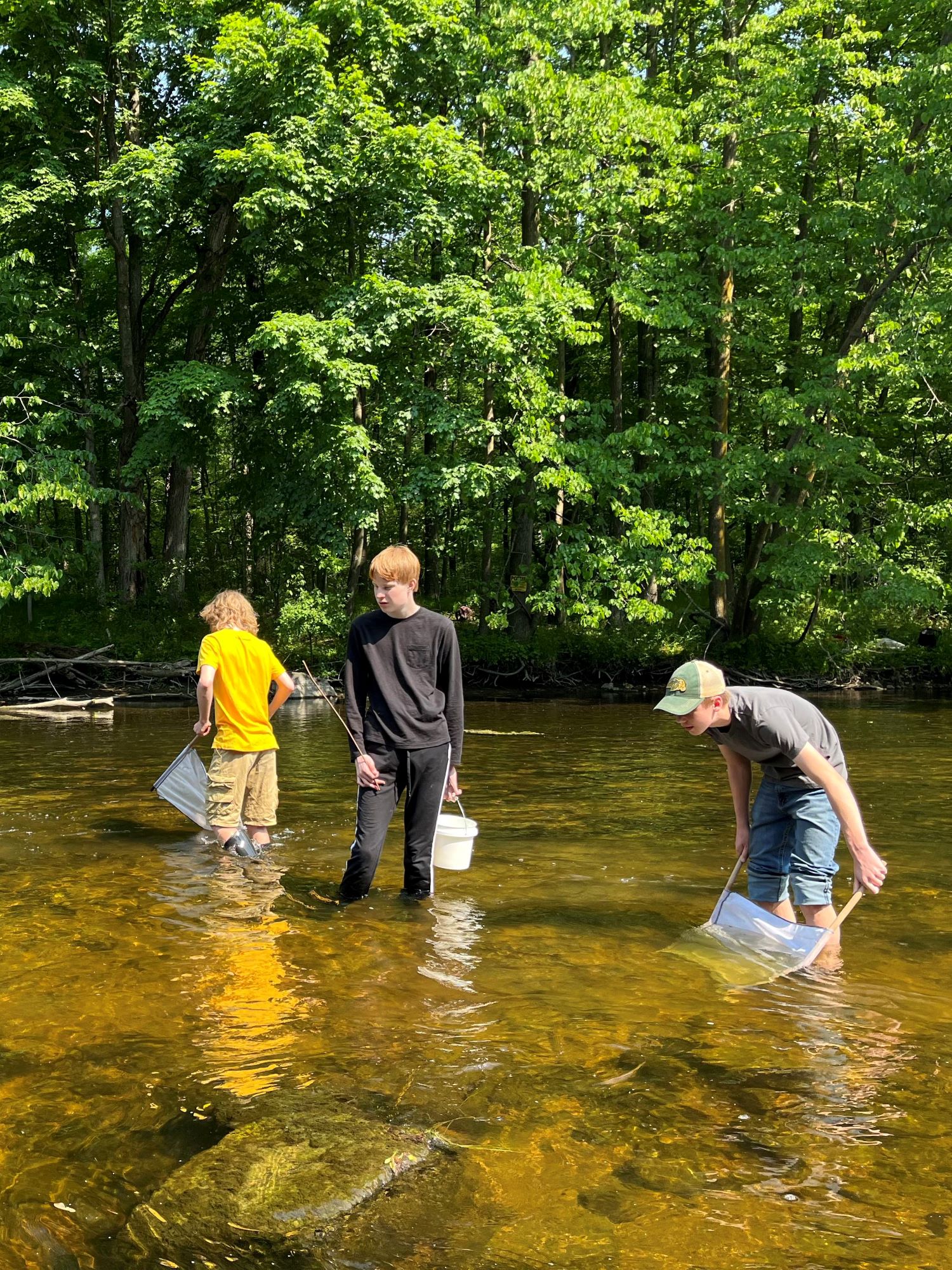 3 kids stand in the Milwaukee river with nets looking for river critters on a sunny summer day