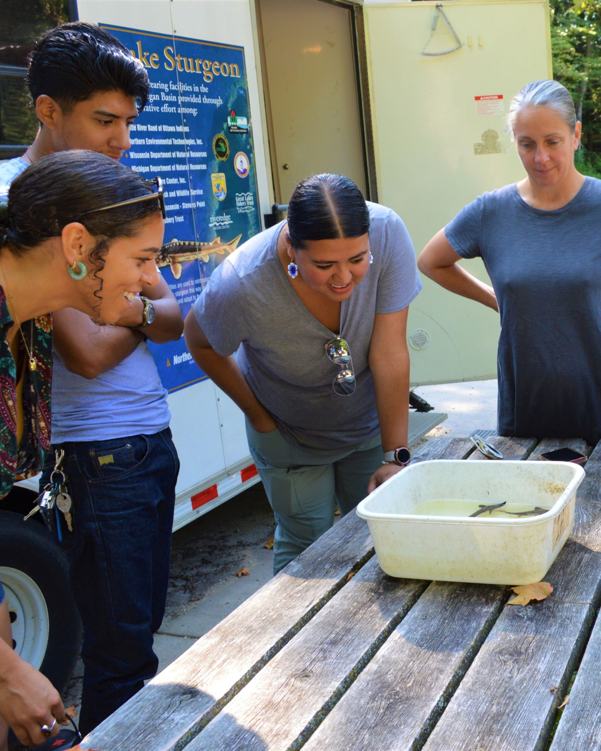 4 people stand outside the Riveredge sturgeon trailer looking at a bucket with baby sturgeon