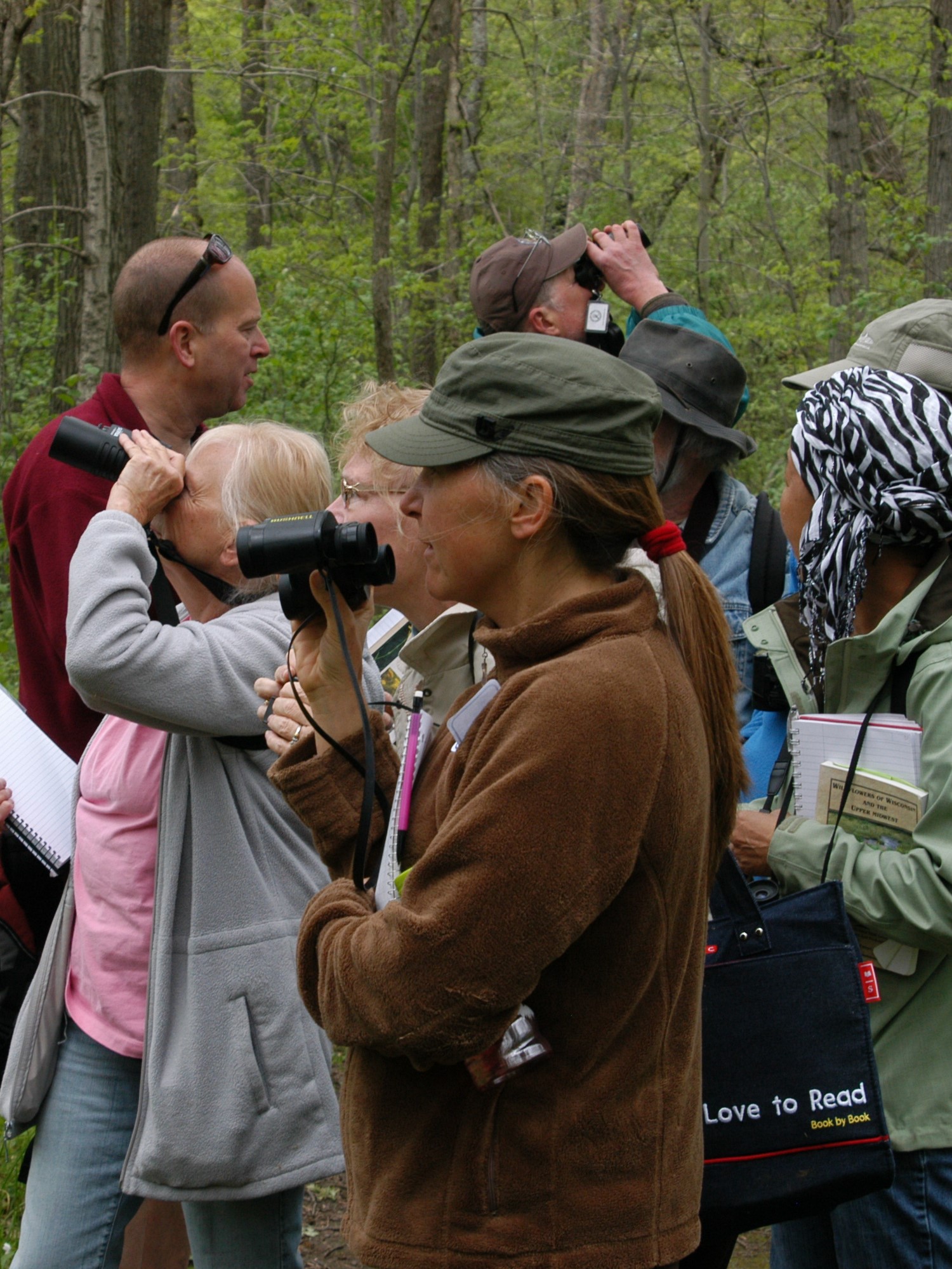 adults with binoculars looking for birds in a forest