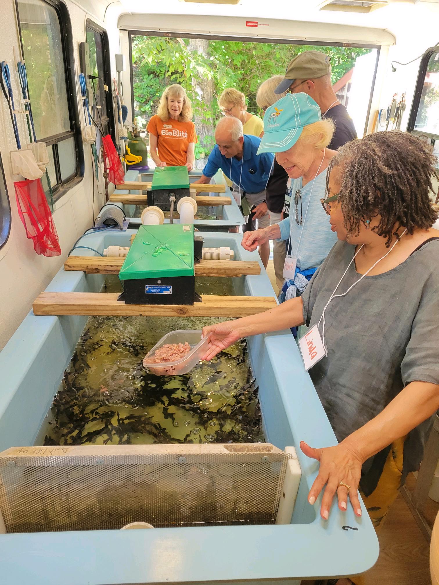 a small group of older adults stands in the Riveredge sturgeon trailer looking at young sturgeon in a tank