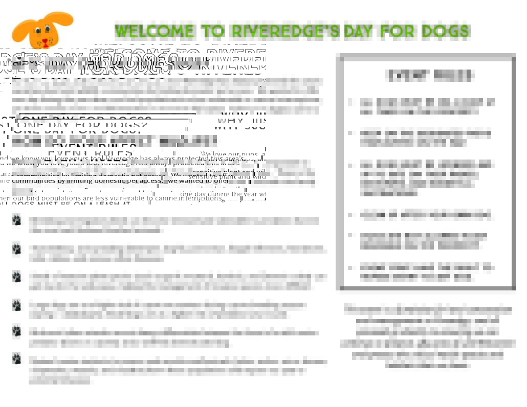Day for Dogs rules and descriptions