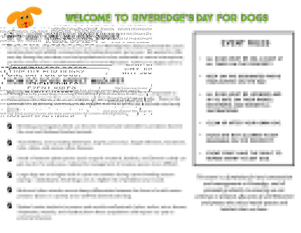 Day for Dogs rules and descriptions